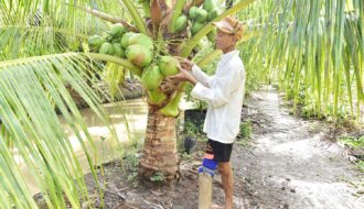 Những mô hình kinh tế chuyển đổi của nông dân